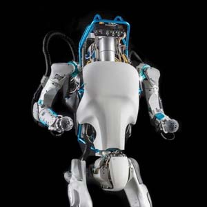 Robot Rules!